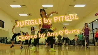 JUNGLE  PITBULL & STEREOTYPES