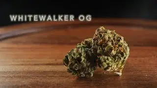 Whitewalker OG Strain Review | Nightly Bud