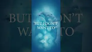 ‘Anyway’ featuring Gavin James is out now! 🌞 x