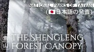 The Shengleng Forest Canopy (日本語の発音) ｜雪覇国家公園｜台湾観光｜聖稜樹冠