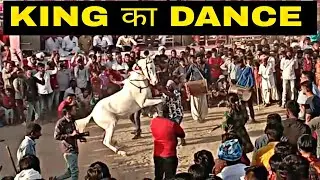 Jasra horse show 2021:। horse dance।  KING का DANCE ।