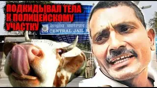ИГРЫ СЕРИЙНОГО УБИЙЦЫ Индия #crime