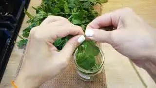 КАК ЗАСУШИТЬ И ЗАМОРОЗИТЬ МЯТУ♥