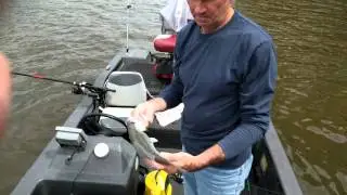 2016 03 25 13 43 47 Measuring big crappie