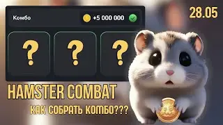 КАК СОБРАТЬ НОВЫЕ КОМБО КАРТЫ В Hamster Kombat ? Я СОБРАЛА ВСЕ КОМБО КАРТЫ | Крипто Ксюша