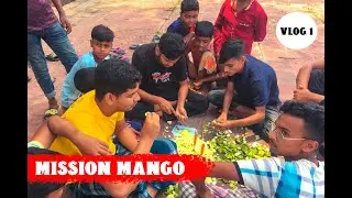 Mission Mango | vlog 1 | Creative Brothers |