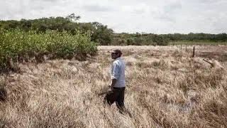Tagane Trailer