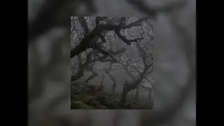The Flower Garden - Howl's Moving Castle OST (slowed)