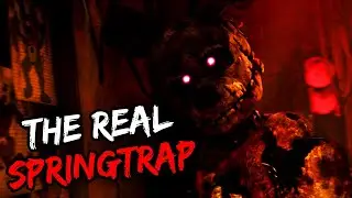 Top 10 Scary Springlock Victims That Are Actually Real