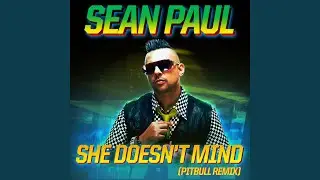She Doesn't Mind (Pitbull Remix)