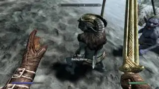 Skyrim #3
