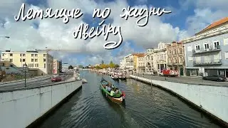VLOG #039 - Авейру: Современный город, крутой университет, прогулка по реке на гандолах