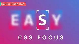 CSS Text Hover Transition Effects | Focus