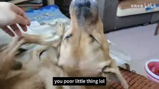 He can't feel his leg