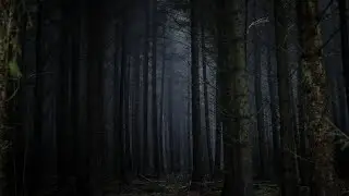 Cadmium - Ghost (Lyrics) feat. Eli Raain