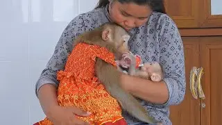 Adorable Luna Hugging Mom Look Tiny Valen Drink Milk