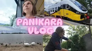 🫣 PANIKARA VLOG 🫣 - ATAK PANIKI 🫣 MEDYTACJA - PRACE OGRODOWE 🧘🏽‍♀️ POSTĘPY 🔝