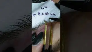 A magical lashing experience 😍 using all Lost Artistry Lash products 💫 