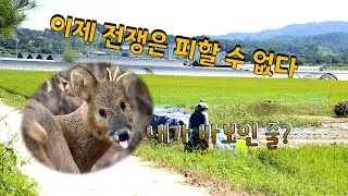 War history with elk [ClumsyKoreanFarmer]