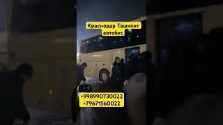 Краснодар Ташкент автобус 
