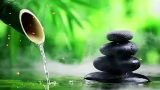 [Si Escucha 5 Minutos Todos Los Días] La Vida Será Brillante, Espíritu Emocionado, Trabajo Eficiente