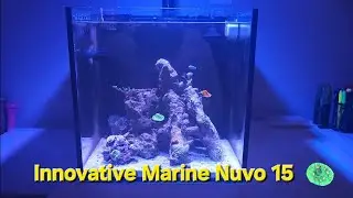 Innovative Marine Nuvo 15 $99 AIO Reef Aquarium