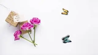 Butterfly animation Using Camera Tracker