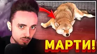 😨МАРТИ ЭДИСОНА БЕРЕМЕННЫЙ...