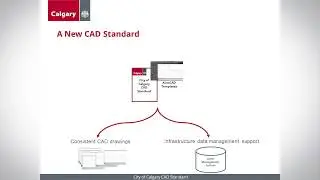 About the CAD Standard