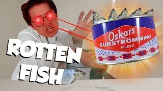 Swedish Delight - The Smoothie Chronicles (Vomit Warning)