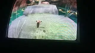 Madagascar 2:Escape Africa Walktrough Part 8 (Wii/PS2/XBOX 360/PC/PS3)