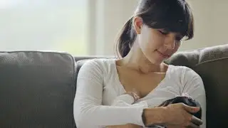 Your Guide to Lactoferrin | Ad Content for Enfamil