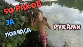 How to catch crayfish by hand, catching crayfish, caught 50