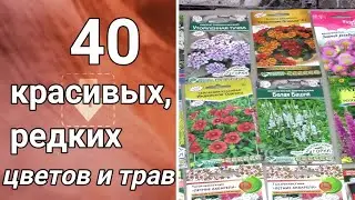 Редкие и популярные многолетние красивые цветы и травы. Обзор семян 2022