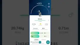 🦓 BLITZLE 🎊 #pokemongo #shorts #pokemon