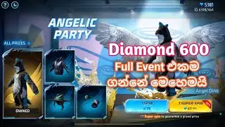 Diamond 600න් Full Event එකම Cover කරන විදිහ