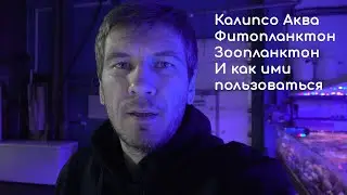 Зоо и Фитопланктон Калипсо и не только