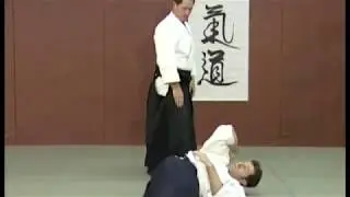 kata dori menuchi shiho nage