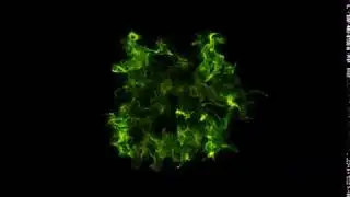Green screen Rose flower Effects video