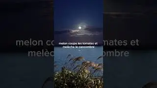 Melon prépare une salade