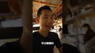 兩寶爸媽終於有自己的時間了