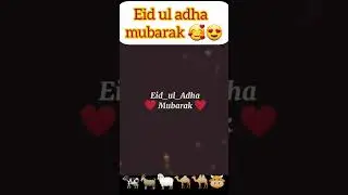 eid ul adha status-eid ul adha mubarak-eid ul adha 2024 date