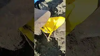 11 октября 2023 г.