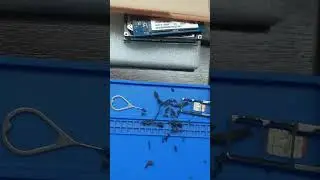 Отвалился экран в смартфоне