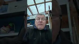 Пруд возле Дома/Всё своими руками￼/Всё обошлось