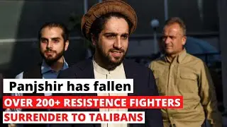 Masood's soldiers surrender to Taliban | Breaking News Panjshir | APN