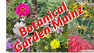 Botanical Garden Mainz /Johannes Gutenberg Botanischer Garten