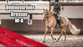 Working Equitation Online Turnier Dressur / mein erster Start in der Klasse WA // Reitertutorials