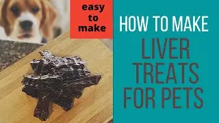 How to make ONE INGREDIENT home made Liver Treats