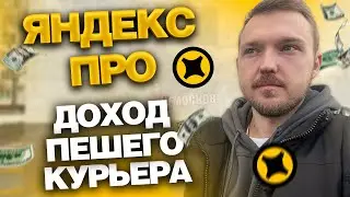 YANDEX PRO DELIVERY - HOW MUCH DO WALKING COURIERS EARN IN MOSCOW?